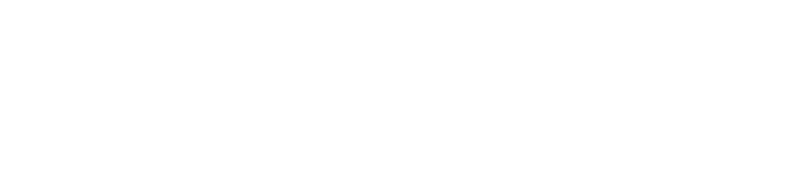 Frumentarii Privatis Intelligentia - Liderazgo e Liderazgo e Inteligencia Estratégica